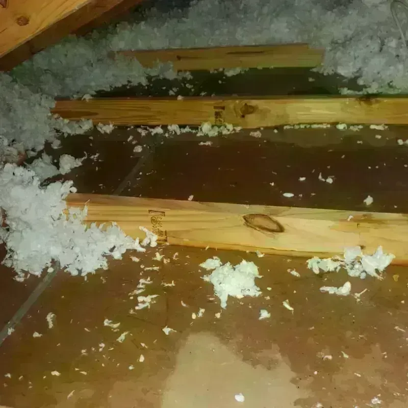 Attic Water Damage in Hemlock, MI