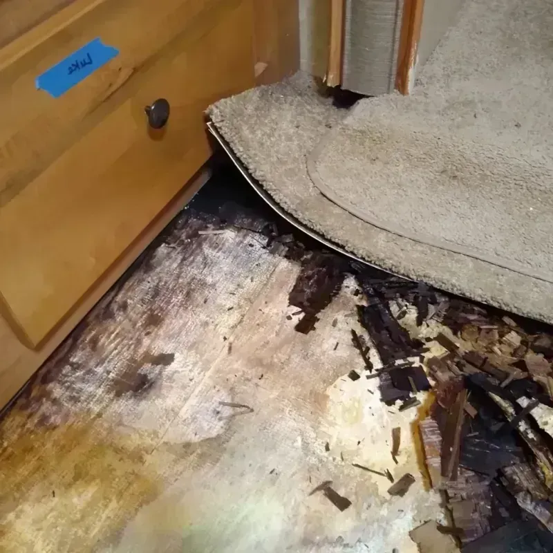 Wood Floor Water Damage in Hemlock, MI